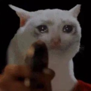 Meet your Posher, Ashlynn